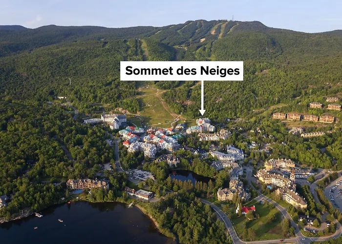 Sommet Des Neiges